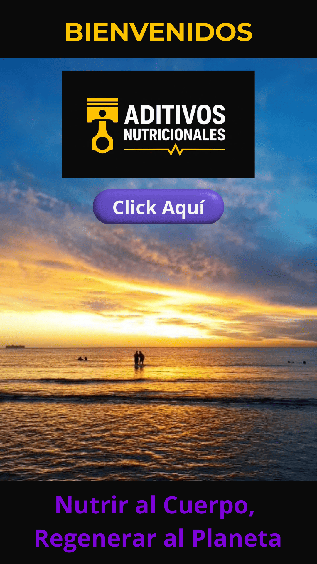 Aditivos Nutricionales